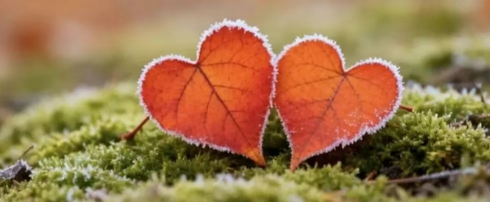 常州市私人调查：现实生活中的“不着相”，是什么样子的？